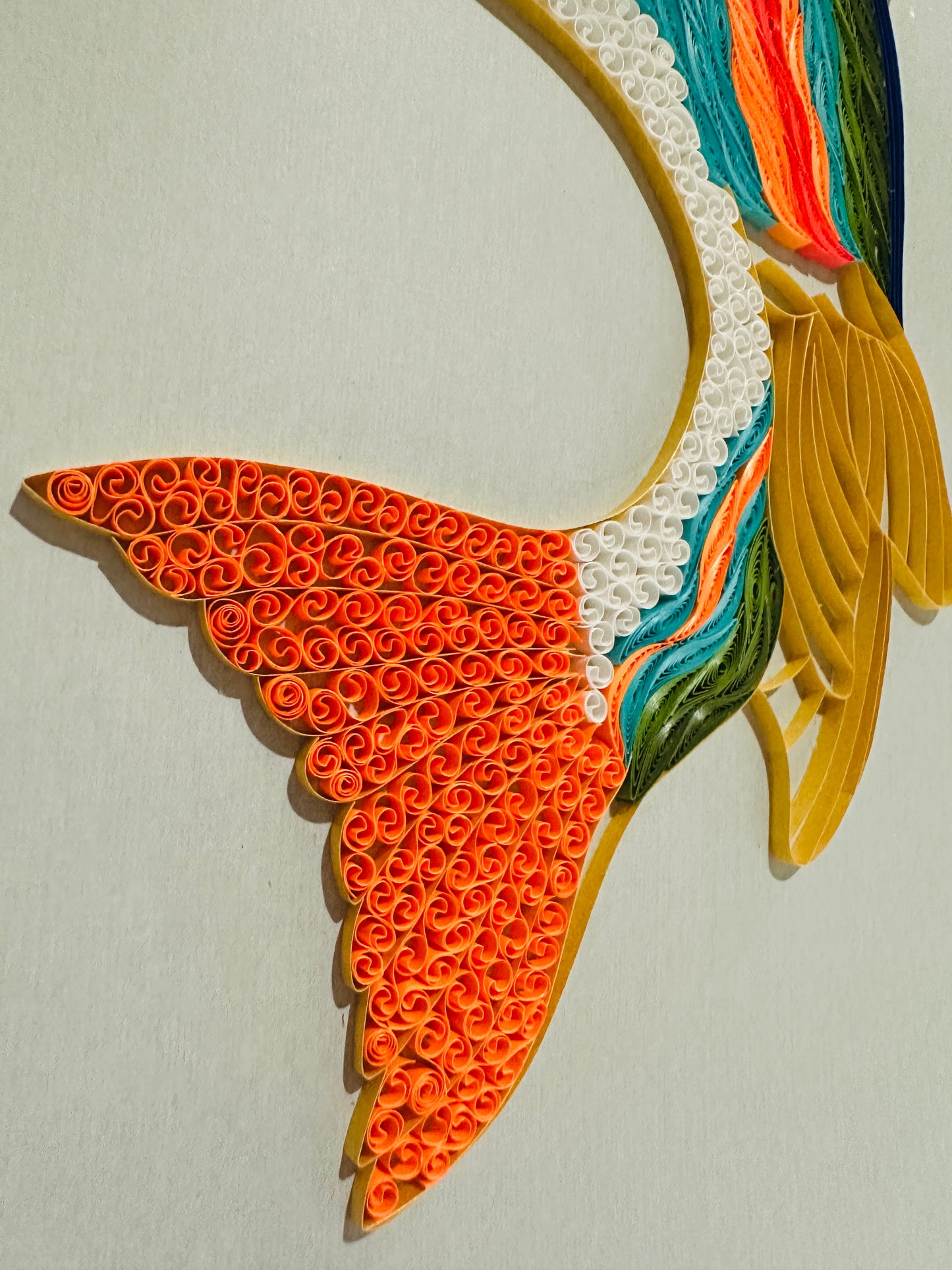 Rainbow Trout
