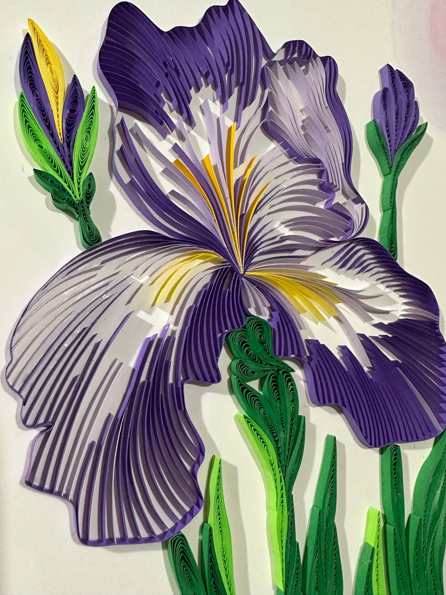 Iris Flower