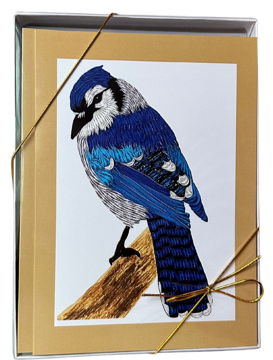 Birds cards box set