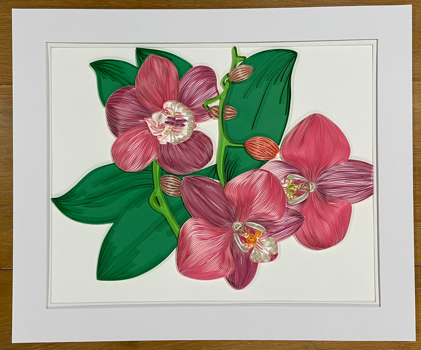 Orchids