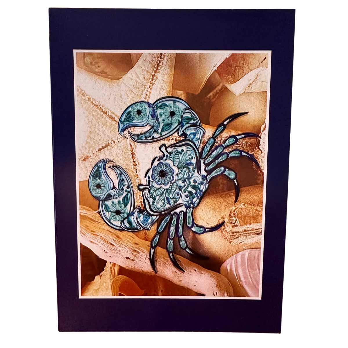 Sea Life Greeting Cards Box Set
