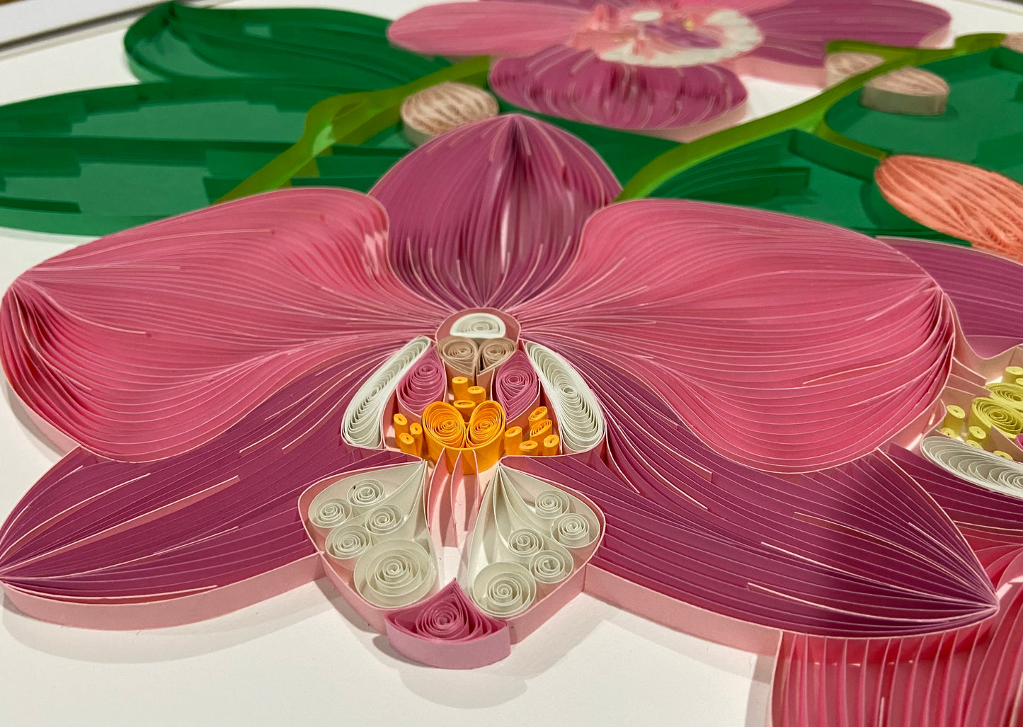 Orchids