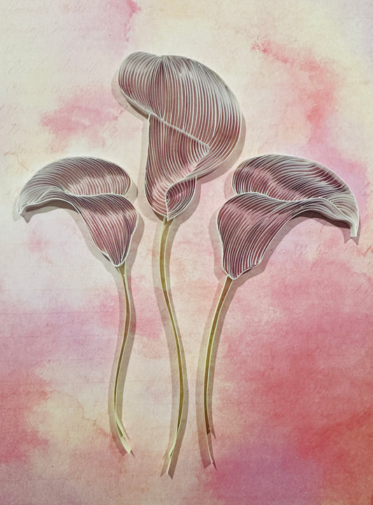 Calla Lilies