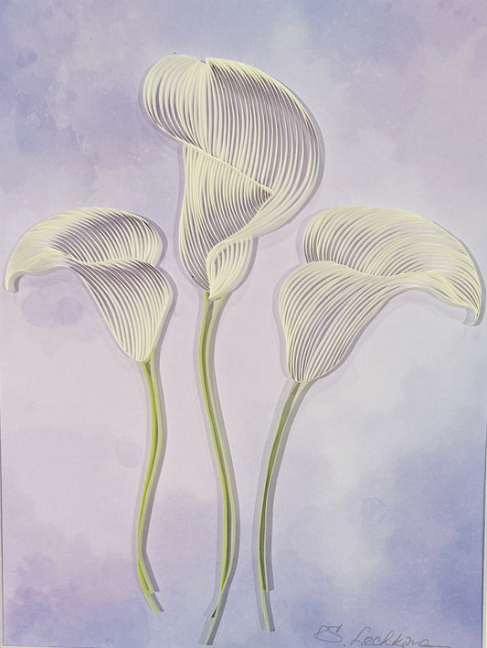 Calla Lilies