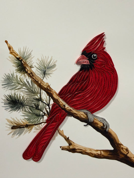 Red Cardinal