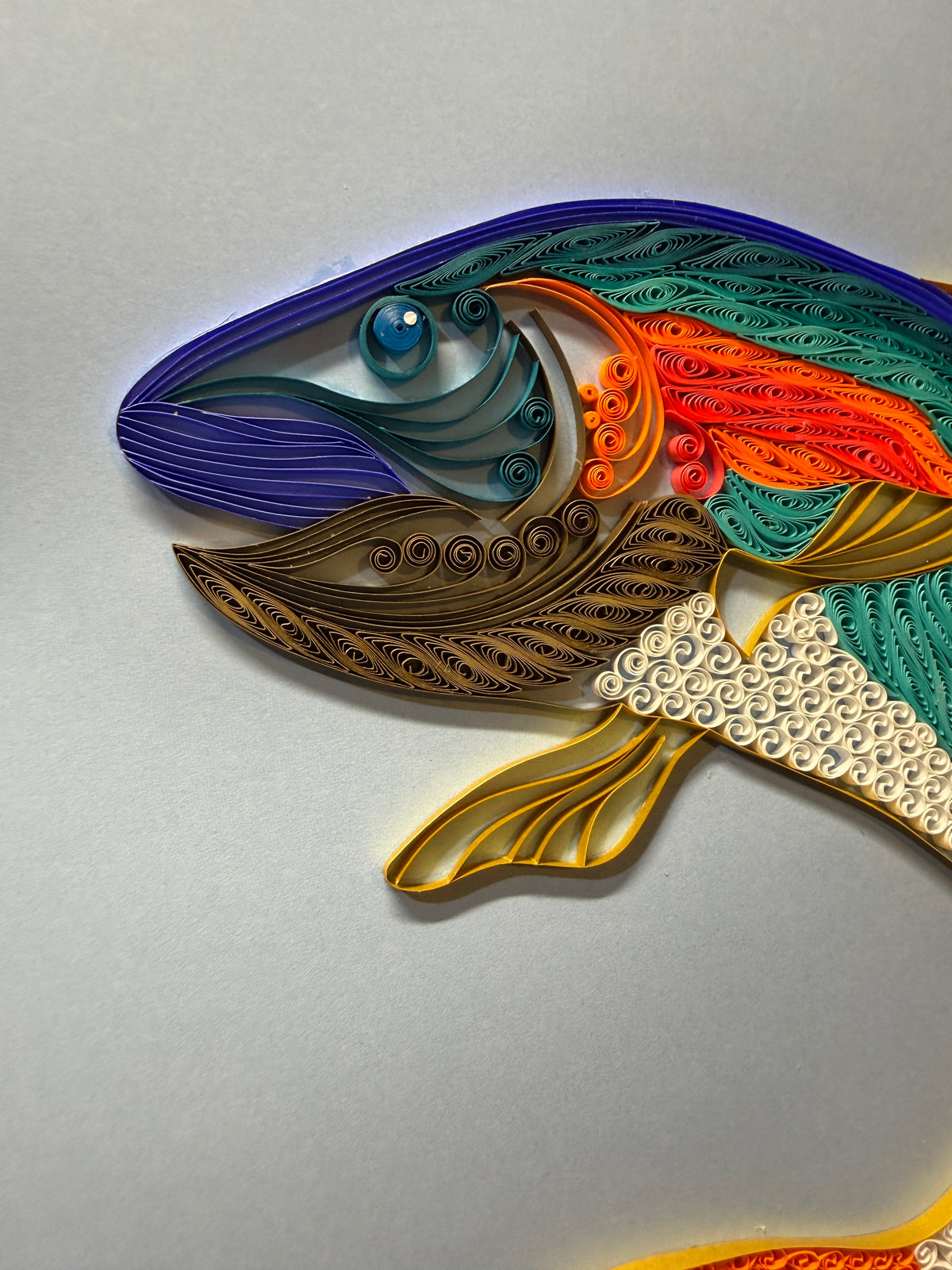 Rainbow Trout